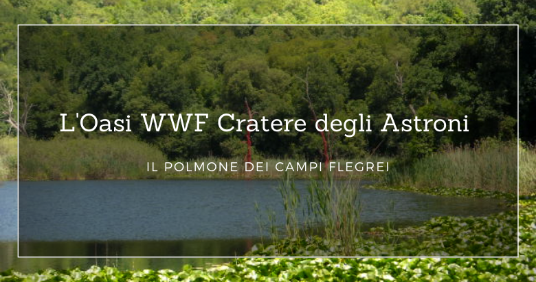 Cratere degli astroni