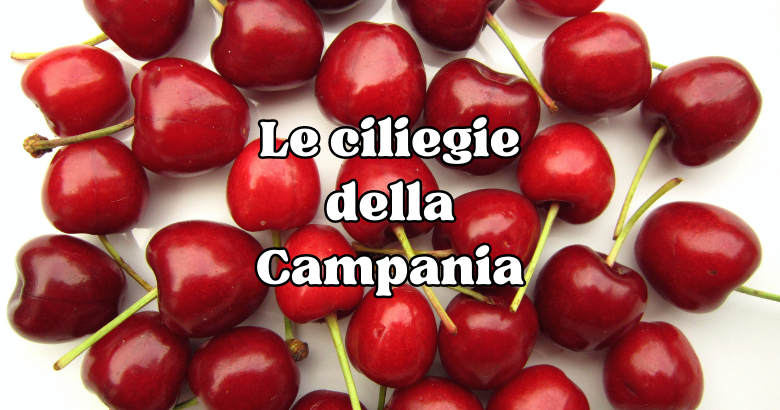 Le ciliegie della Campania