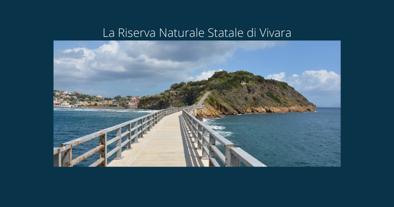 La Riserva Naturale Statale di Vivara